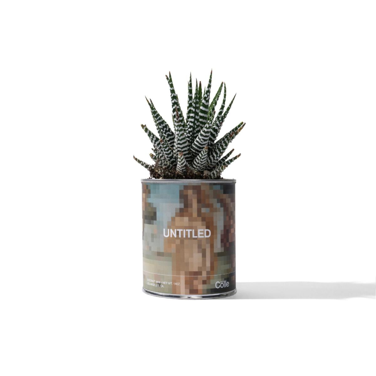 Cölle Candle UNTITLED