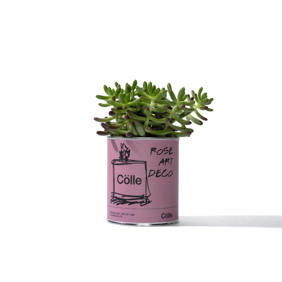 Cölle Candle ROSE ART DECO