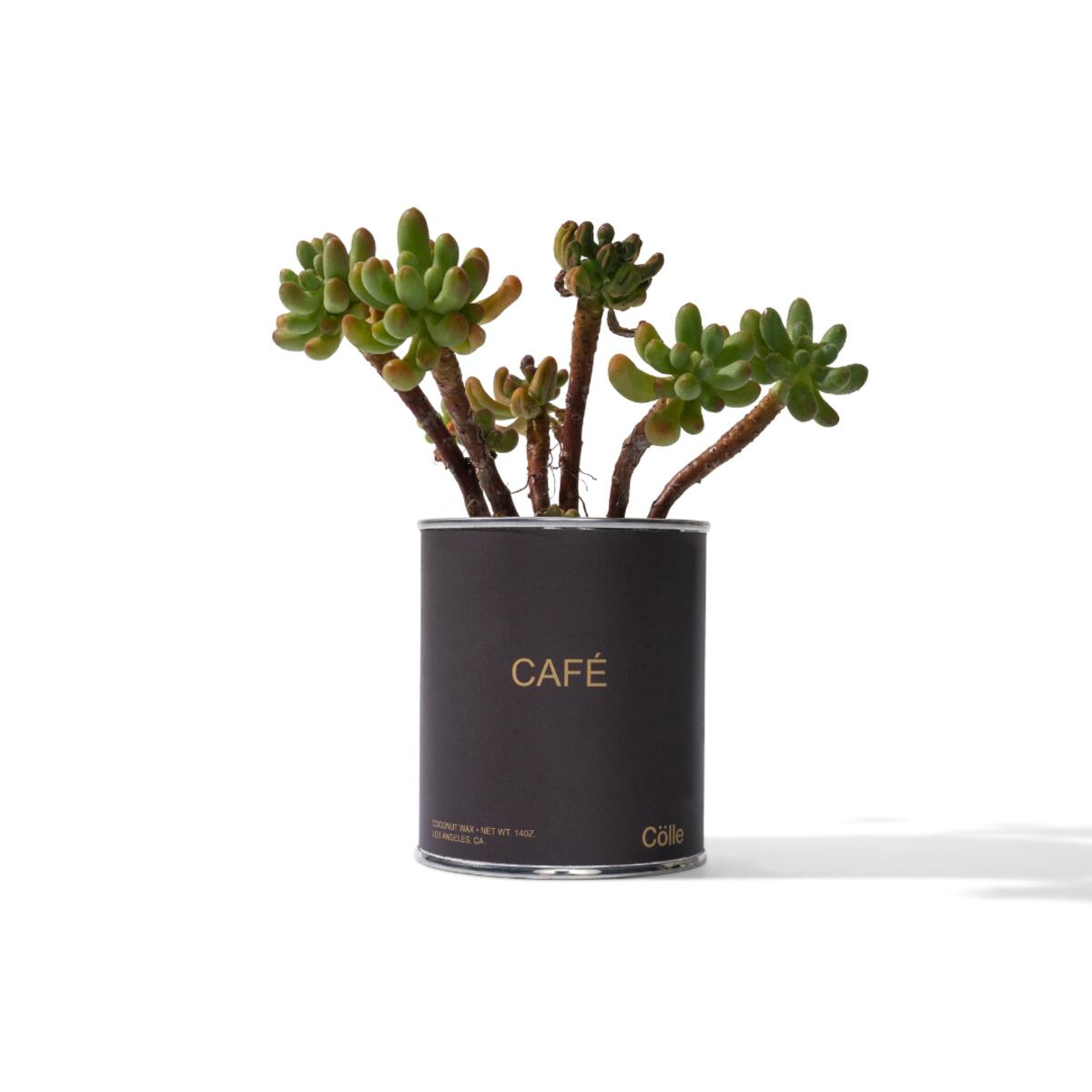 Cölle Candle CAFE
