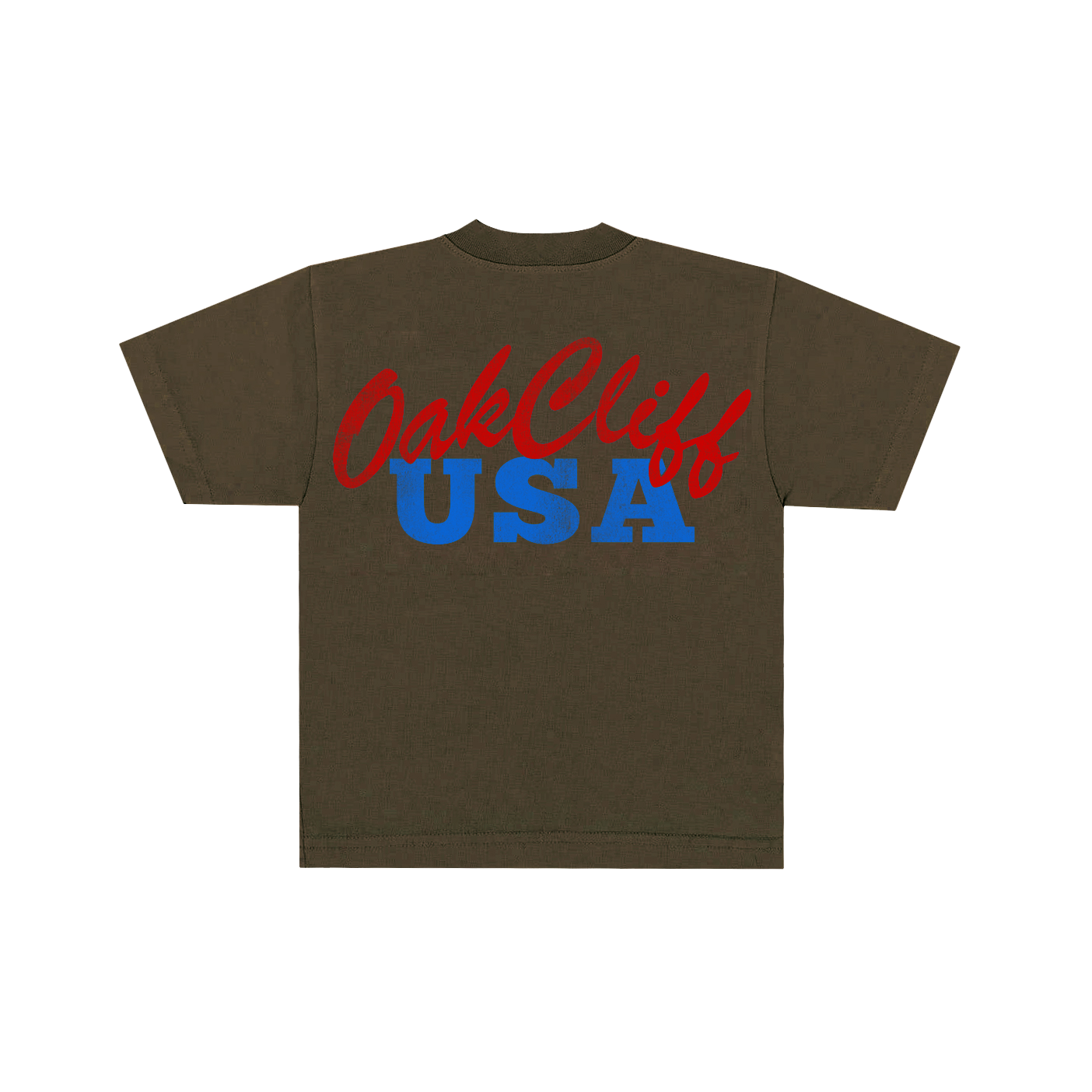 Daily Oak Cliff USA Tee Brown